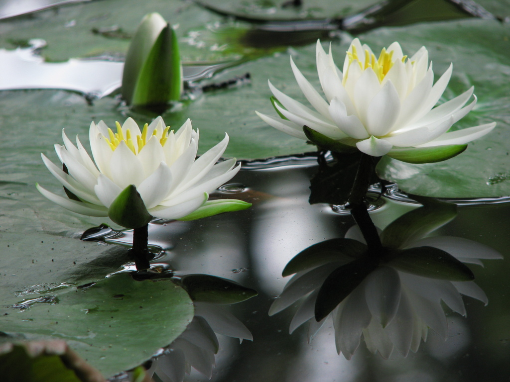 山田池公園にて