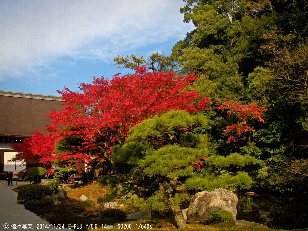 京の秋風景