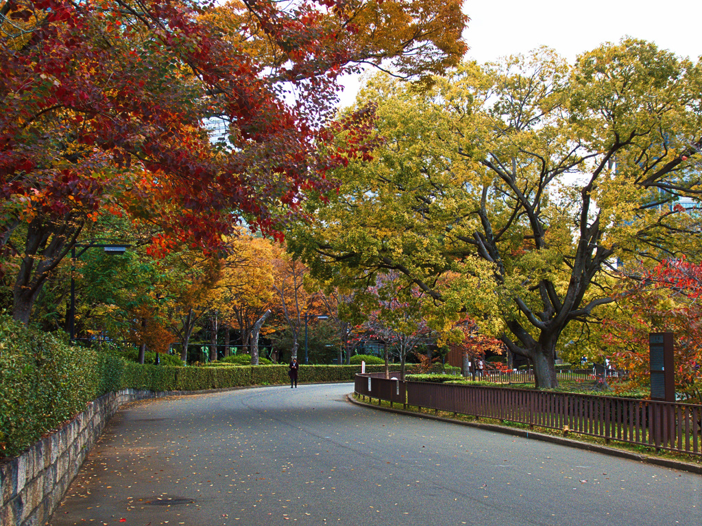 遊歩道