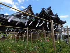 おふさ観音風鈴まつり