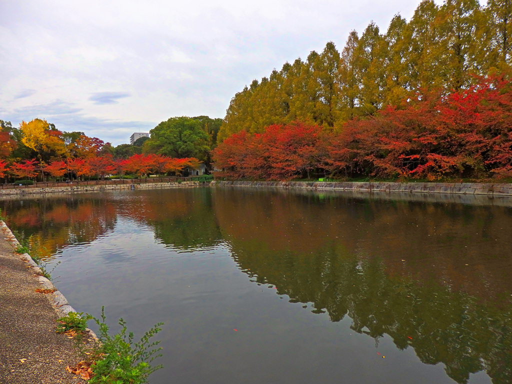 大阪城公園にて