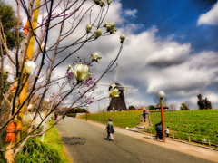 鶴見緑地公園にて