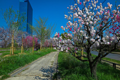 大阪城公園にて