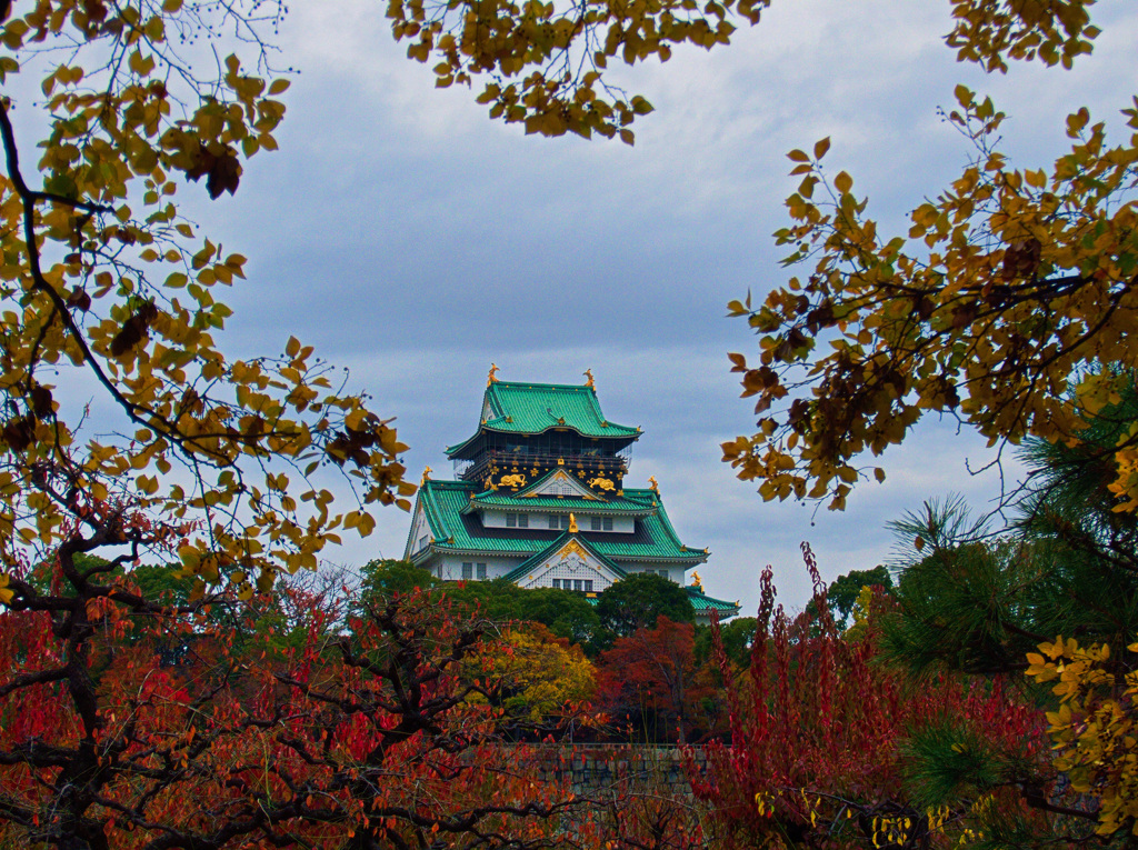 晩秋　大阪城公園にて