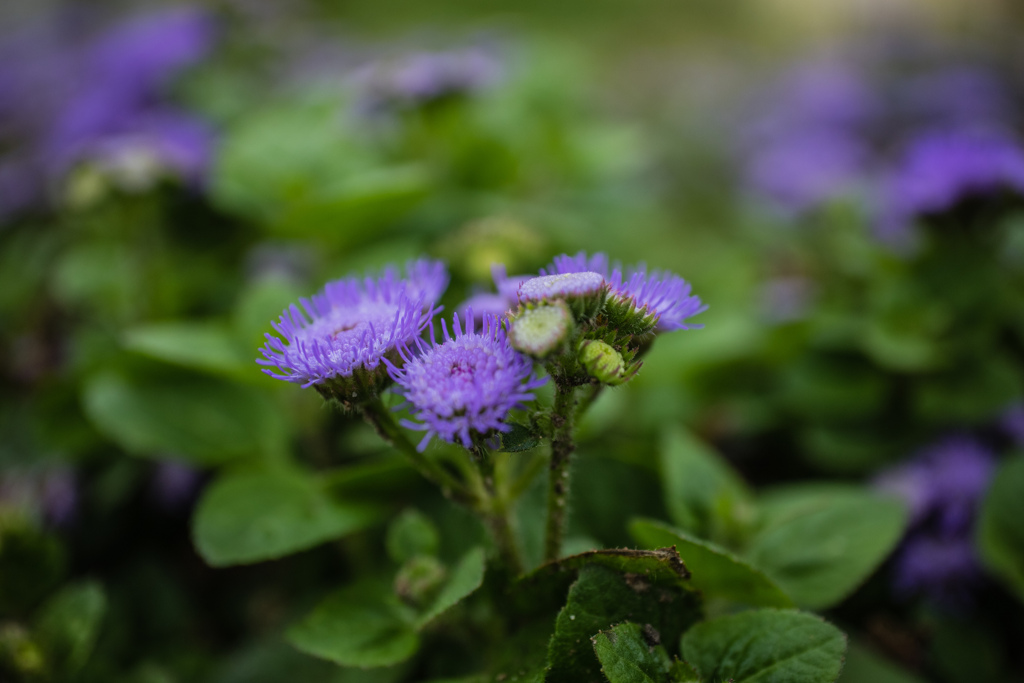 鶴見緑地公園にて