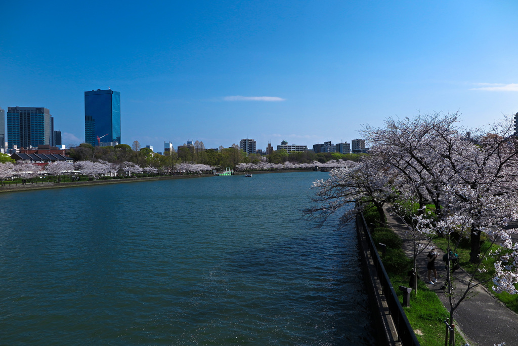 大川沿いにて