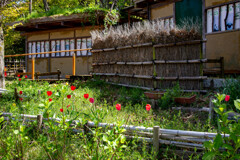 どこか懐かしい