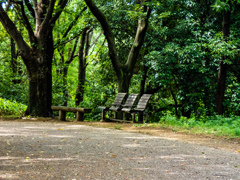 鶴見緑地公園にて