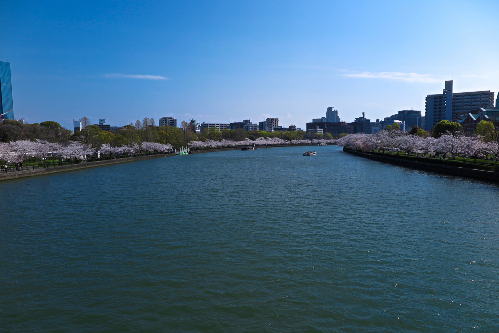 大川沿いにて