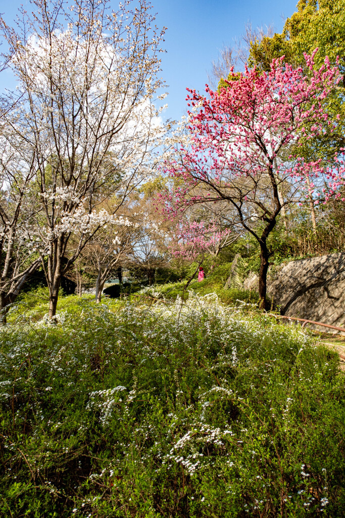 鶴見緑地公園にて