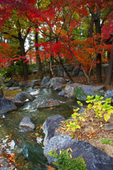 鶴見緑地公園にて
