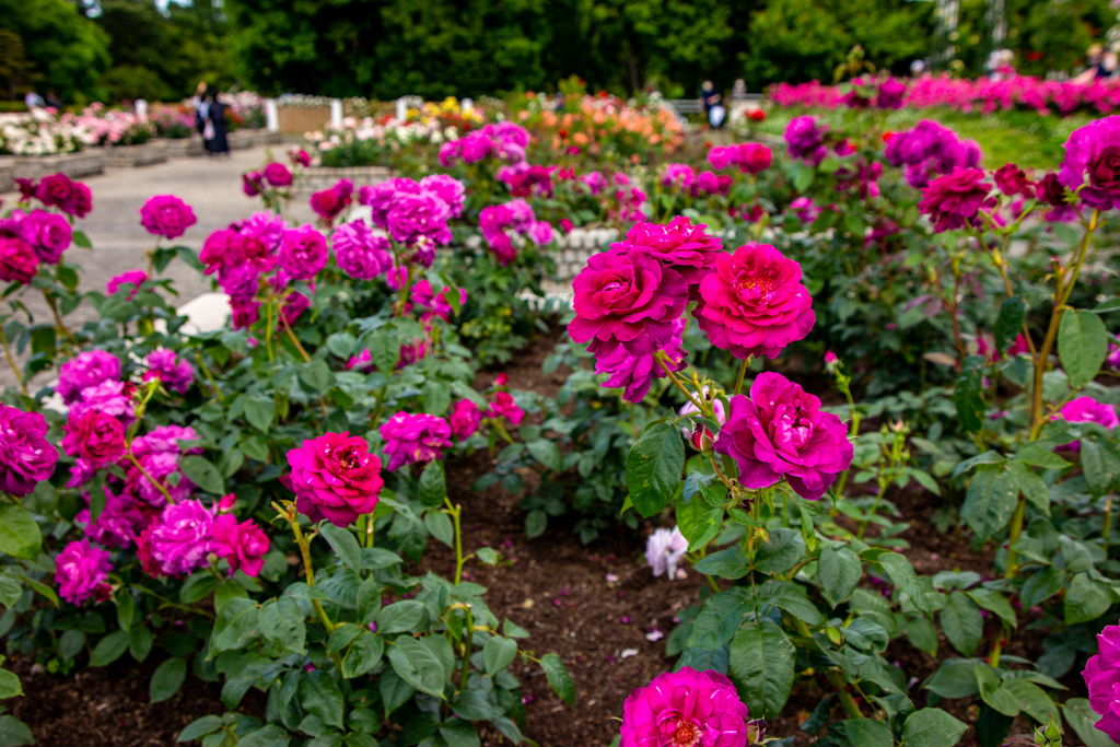 長居植物園にて