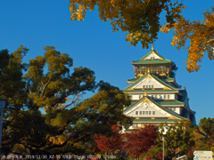 大阪城公園にて