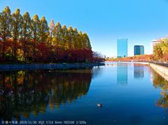 大阪城公園にて