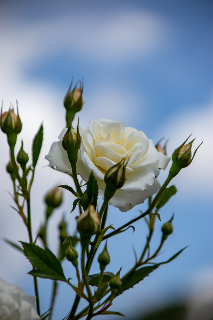 長居植物園にて