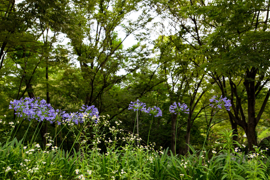 鶴見緑地公園にて