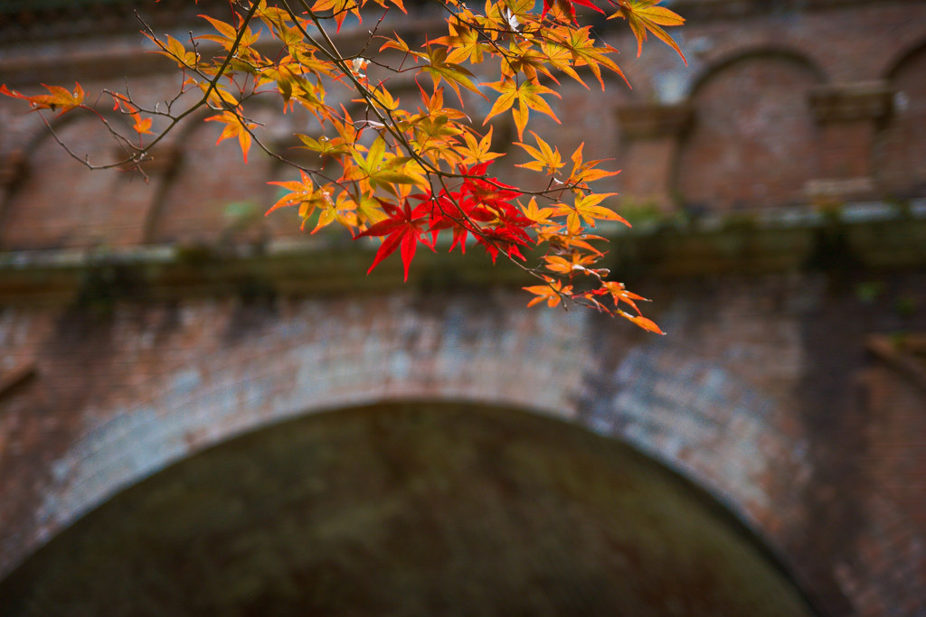 南禅寺で秋探し