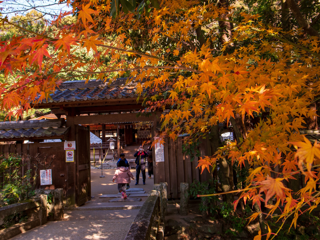 宇治上神社