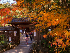 宇治上神社