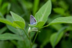 鶴見緑地公園にて