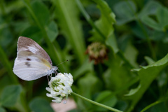 長居植物園にて