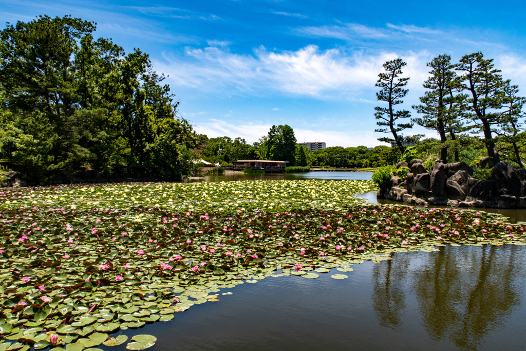長居植物園にて