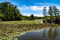 長居植物園にて