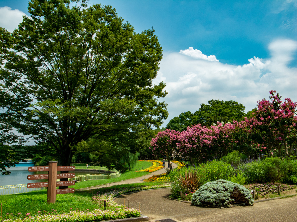 長居植物園にて