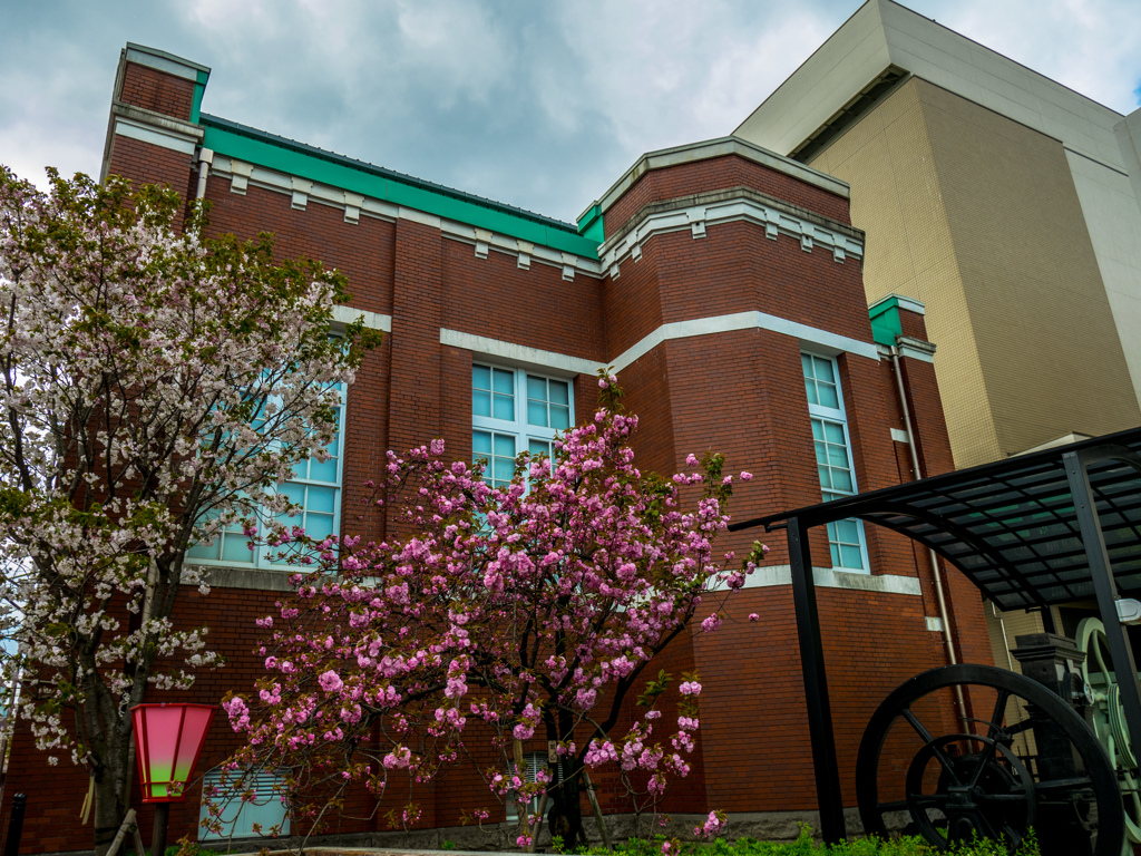 造幣局　通り抜け