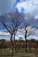 2013_02_09 大阪城公園梅林
