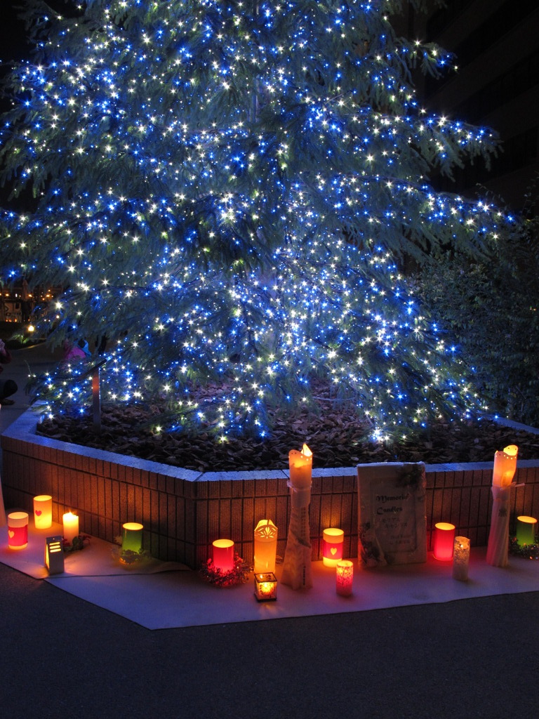 ツリー(光のルネサンス)