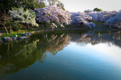 鶴見緑地公園にて