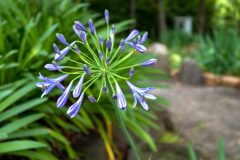 鶴見緑地公園にて