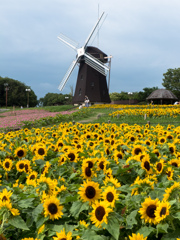 鶴見緑地公園にて