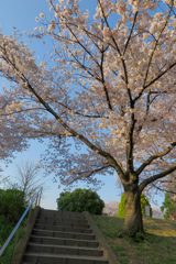 鶴見緑地公園にて