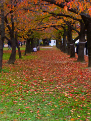 大阪城公園にて