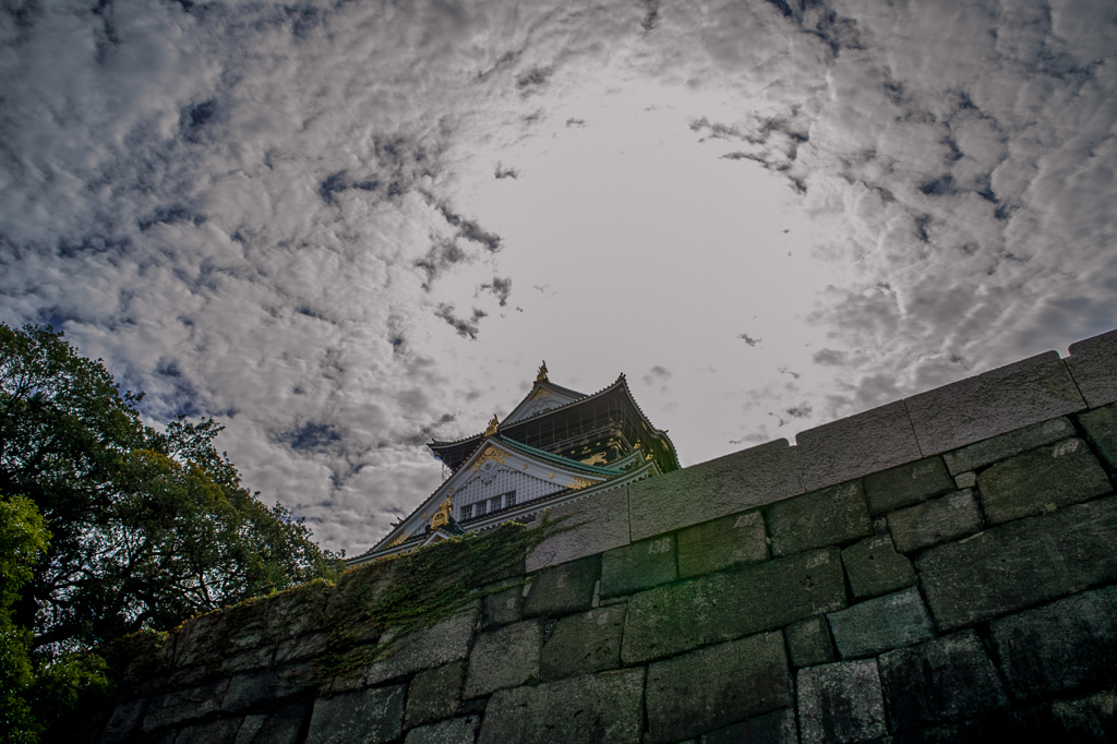 SDIM2144