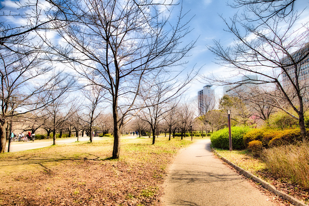 大阪城公園