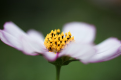 大阪ステーションシティ　天空の農園にて