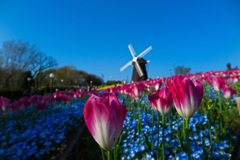 鶴見緑地公園にて