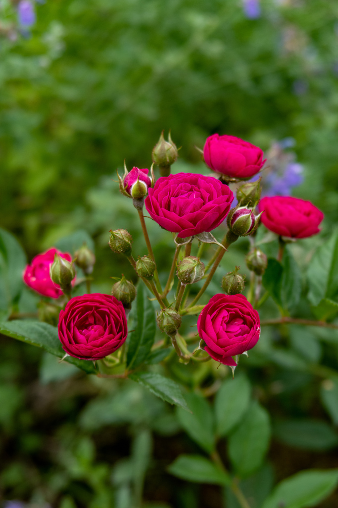 鶴見緑地公園にて