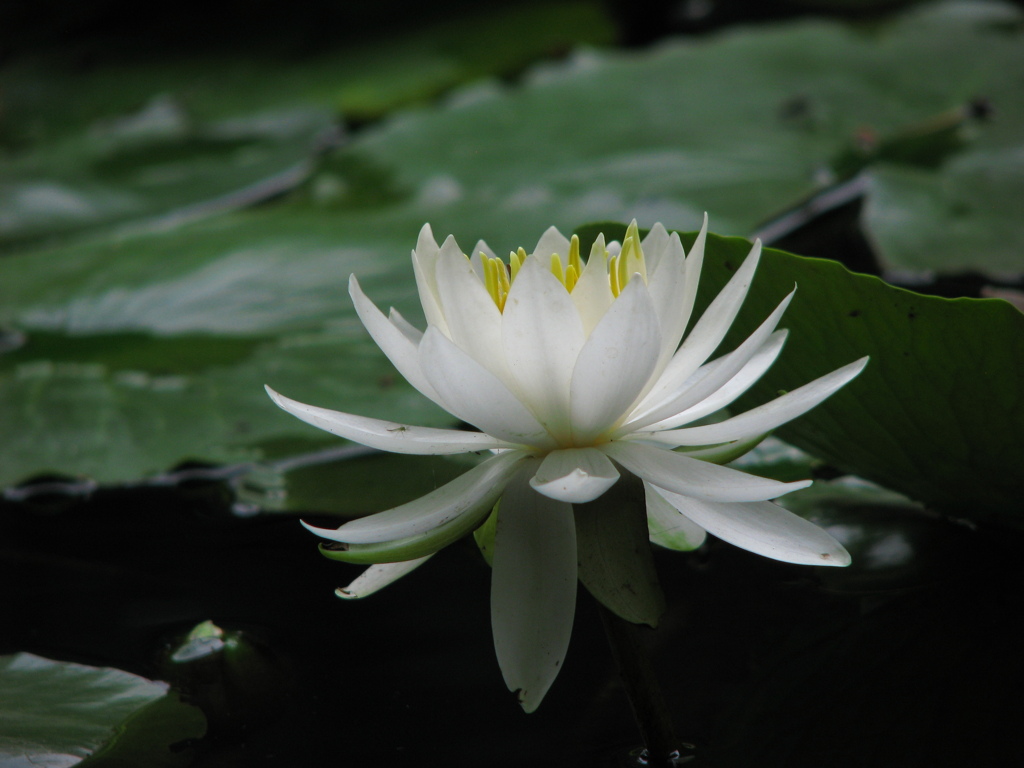 山田池公園にて