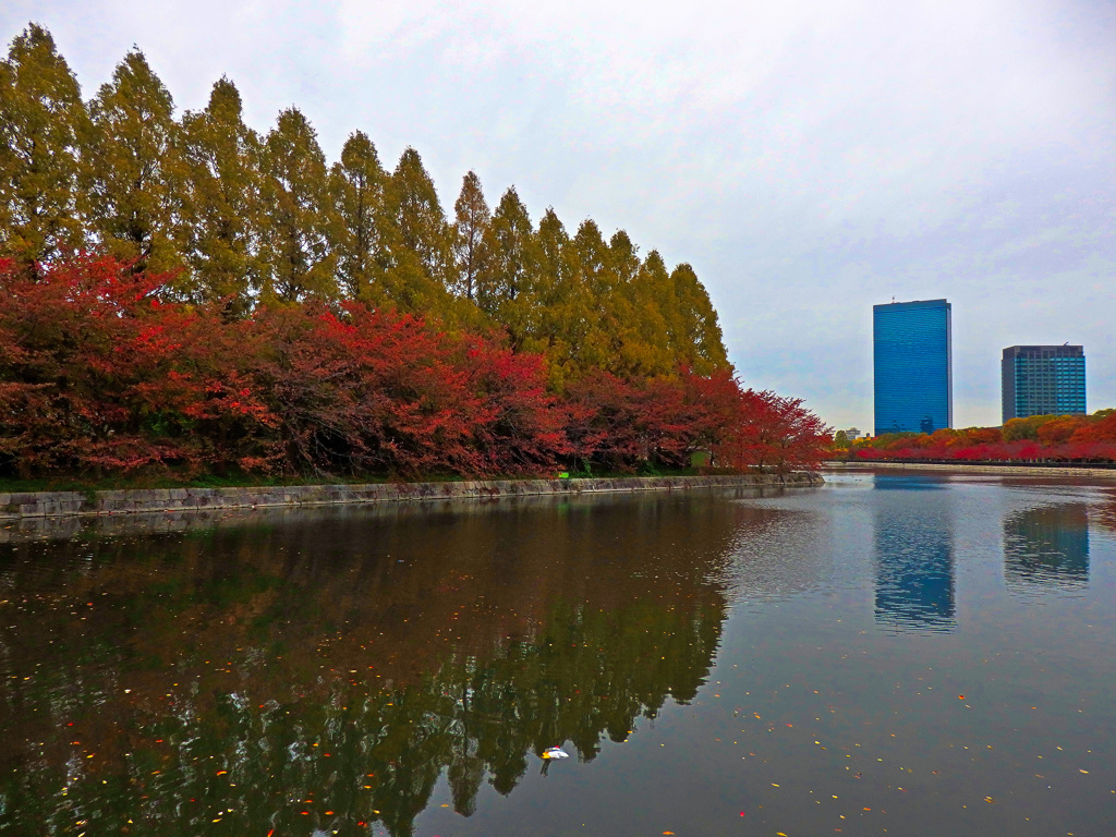 大阪城公園にて