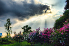 鶴見緑地公園にて