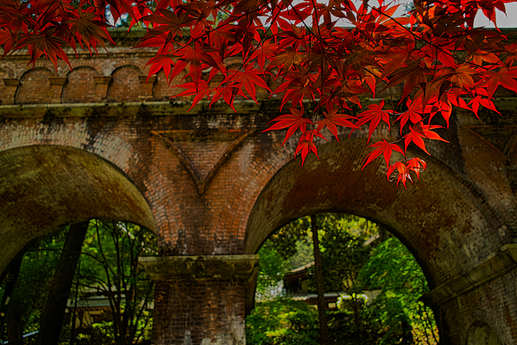 紅葉