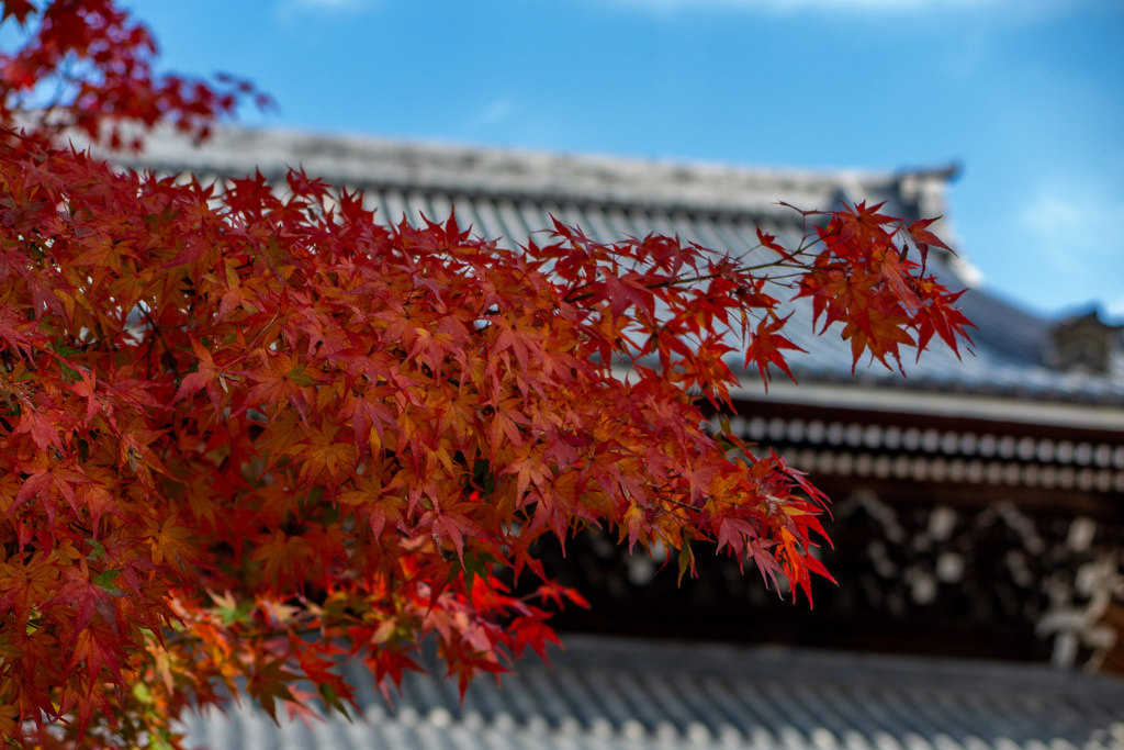 南禅寺