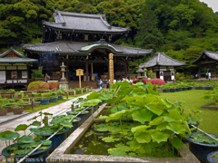 三室戸寺