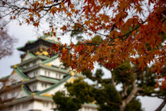 大阪城公園にて
