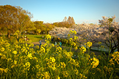 鶴見緑地公園にて