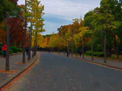 晩秋　大阪城公園にて